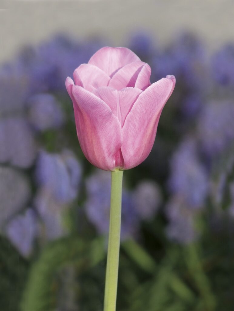 一人旅で楽しむ釣りスポットはどこですか？