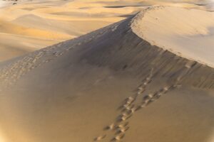 別府で一人旅を楽しむための砂蒸し温泉宿はどこ？