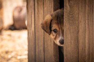 湯布院で口コミ良い一人宿はどこにある？
