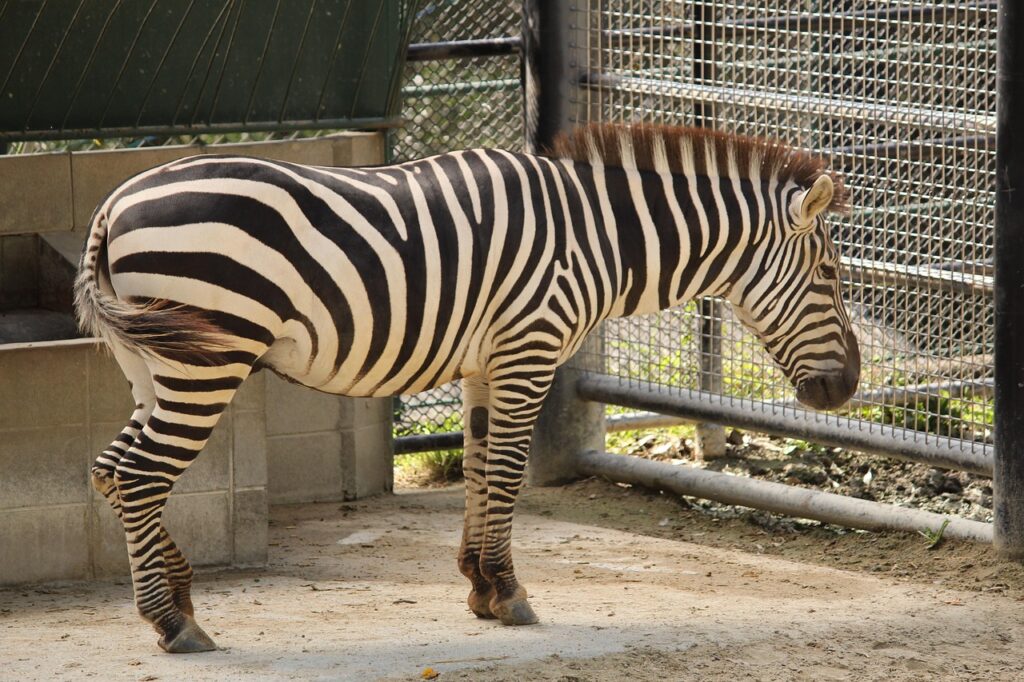 福岡で女子一人旅におすすめの宿は？