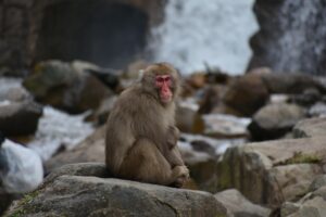 奥飛騨温泉郷での一人旅は女性におすすめ？魅力と楽しみ方を徹底解説！